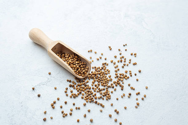 تصویر 3 از فروش تخم گشنیز خوب + قیمت خرید به صرفه